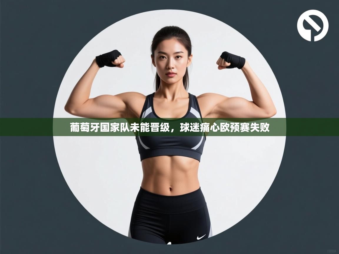 葡萄牙国家队未能晋级,球迷痛心欧预赛失败 第2张